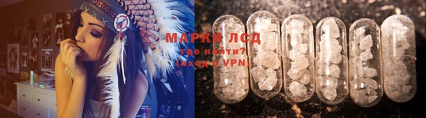 прущие грибы Богородск