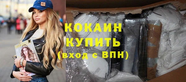 индика Володарск