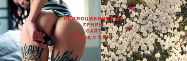 мяу мяу мука Арсеньев
